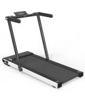ZXCH M8 2-in-1 Desk Treadmill